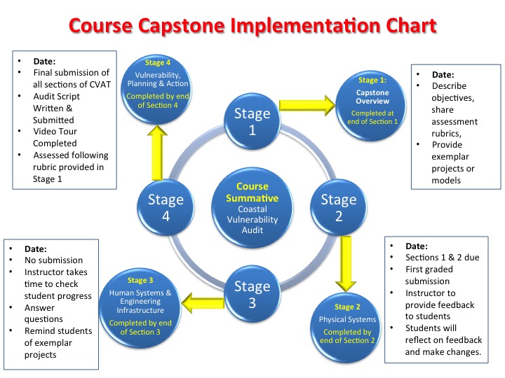 capstone project business management